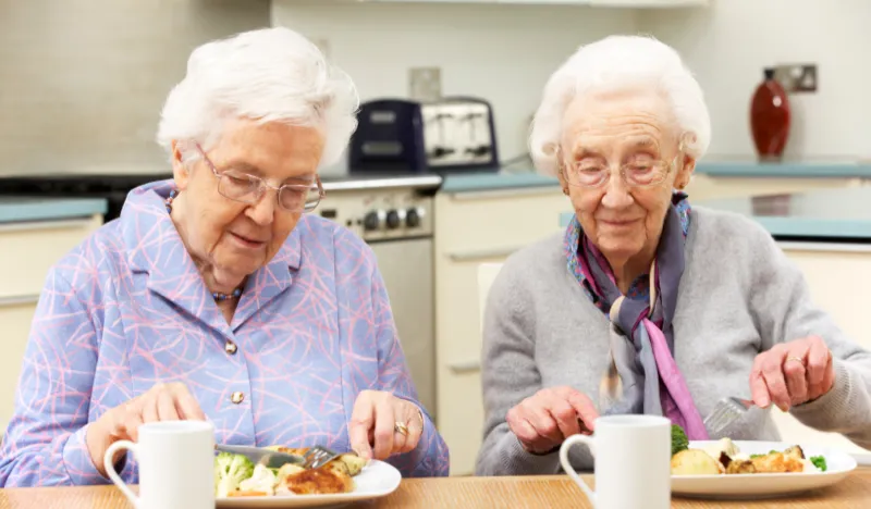 Older women enjoying independent life together